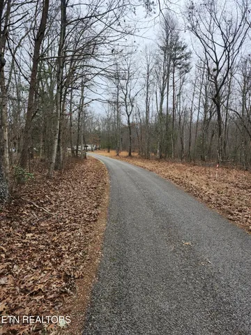 $110,000 | Peacock Lane, Deer Lodge, TN 37726