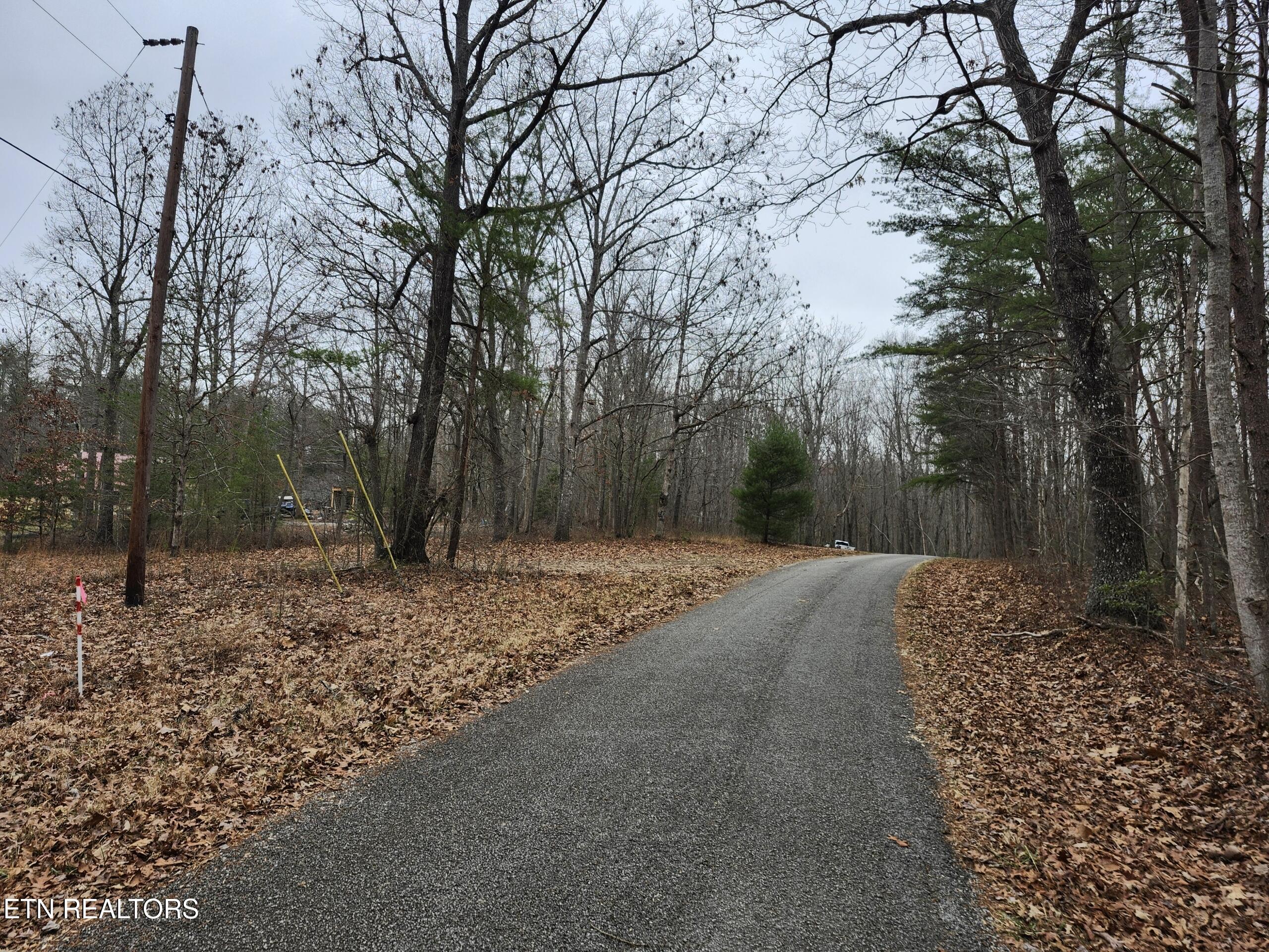 Peacock Lane Deer Lodge, TN 37726 - Photo 2 of 5 Resized_20260106_122645