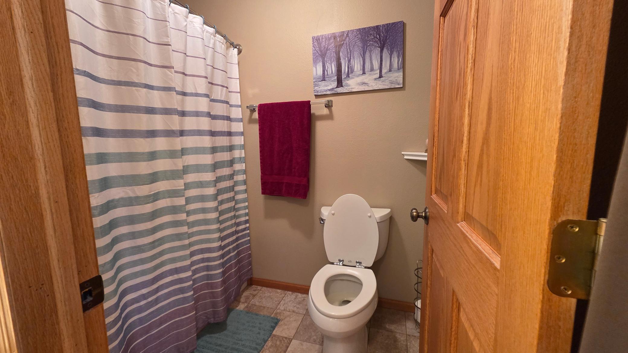 26179 Raleigh Hill Road Shevlin, MN 56676 - Photo 26 of 48 Gallery Image 26