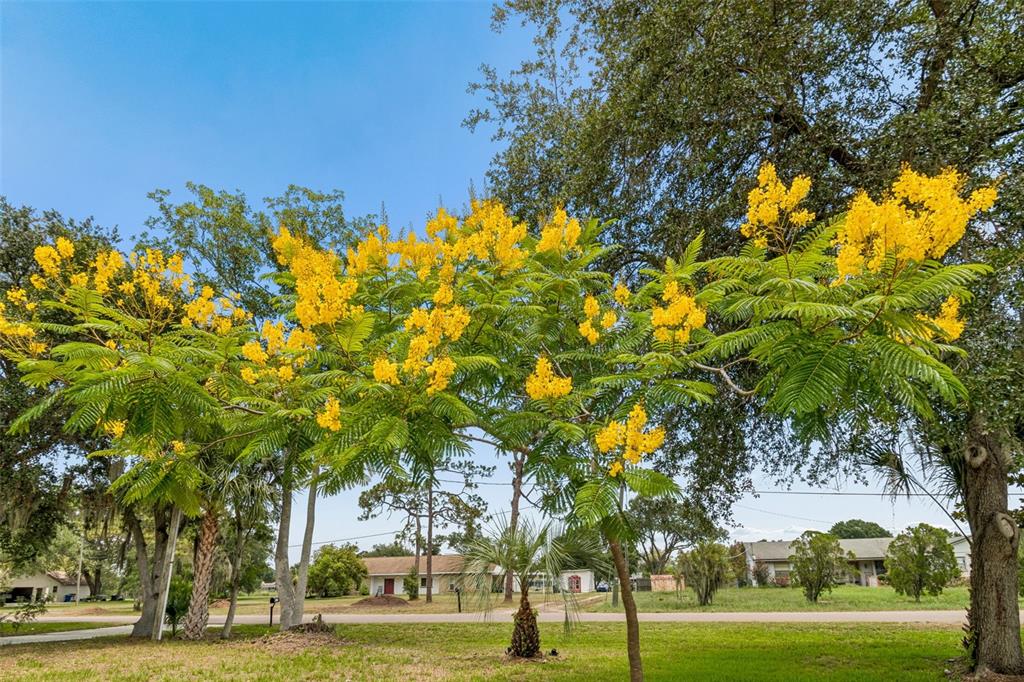 9619 Springbrook Drive Riverview, FL 33578 - Photo 48 of 55
