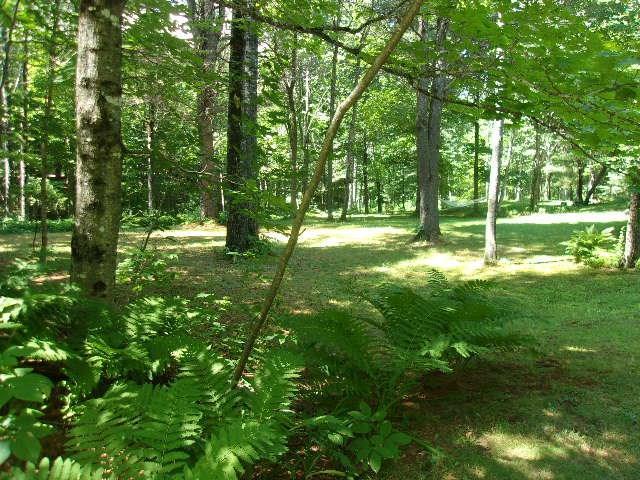 14 Sterry Hill Road Starks, ME 04911 - Photo 27 of 30 Photo