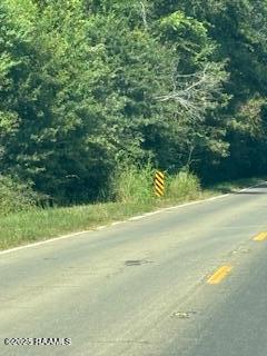 Tbd Lawtell Highway Church Point, LA 70525 - Photo 11 of 13 IMG_0590
