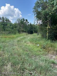 Tbd Lawtell Highway Church Point, LA 70525 - Photo 4 of 13 IMG_0584