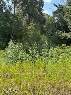 Tbd Lawtell Highway Church Point, LA 70525 - Photo 5 of 13 IMG_0577