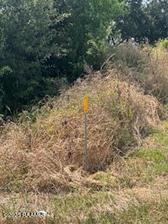 Tbd Lawtell Highway Church Point, LA 70525 - Photo 6 of 13 IMG_0578