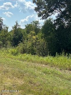 Tbd Lawtell Highway Church Point, LA 70525 - Photo 7 of 13 IMG_0580