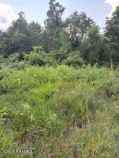 Tbd Lawtell Highway Church Point, LA 70525 - Photo 9 of 13 IMG_0585