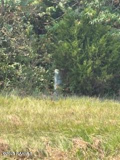 Tbd Lawtell Highway Church Point, LA 70525 - Photo 10 of 13 IMG_0589
