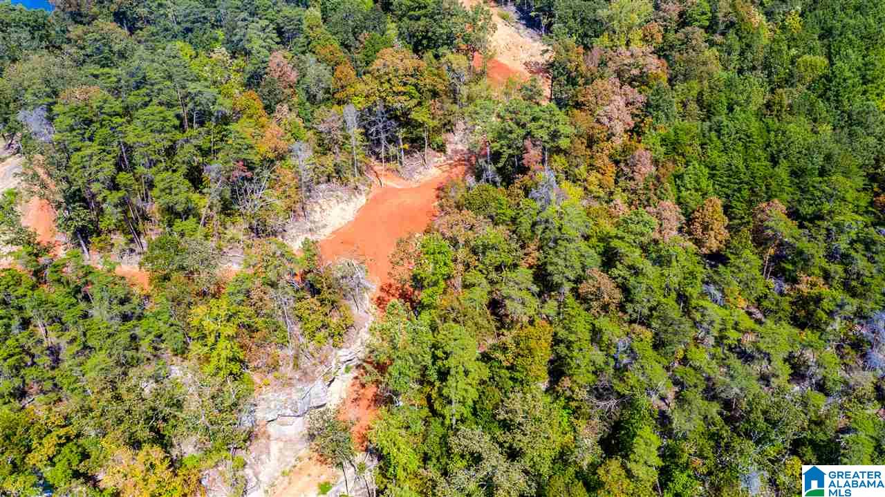 0 County Road 297 Cullman, AL 35057 - Photo 42 of 48