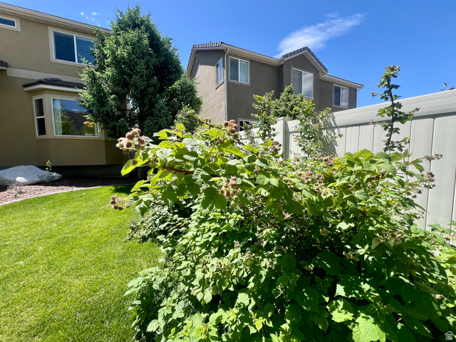 369 Culross Circle Tooele, UT 84074 - Photo 43 of 54 Manicured lawn with mature landscaping and privacy fencing