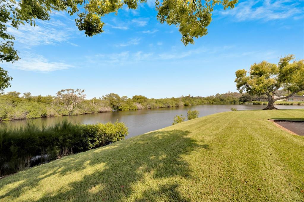 4112 Hampton Drive New Port Richey, FL 34652 - Photo 29 of 73