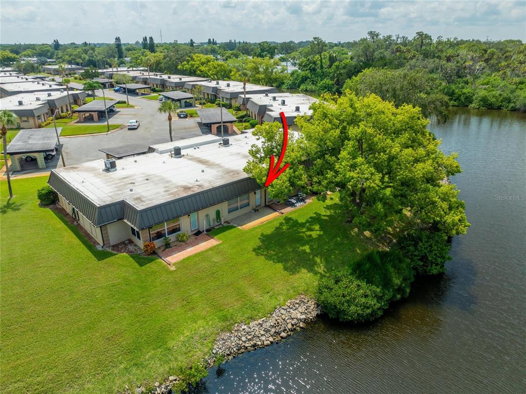 4112 Hampton Drive New Port Richey, FL 34652 - Photo 53 of 73