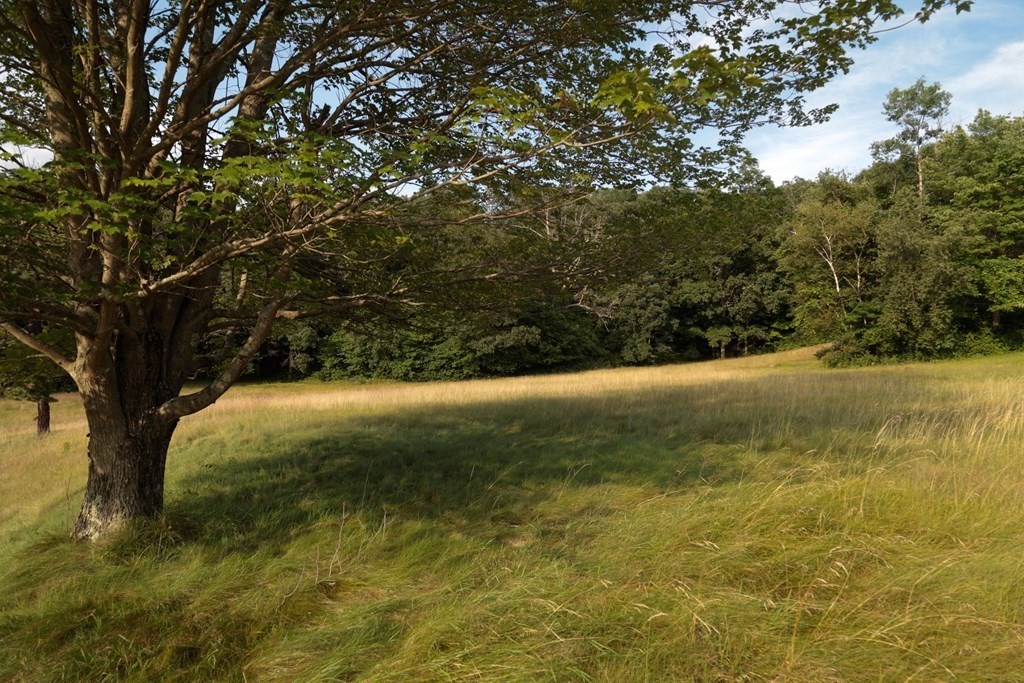 126 Washington Road Brimfield, MA 01010 - Photo 5 of 24