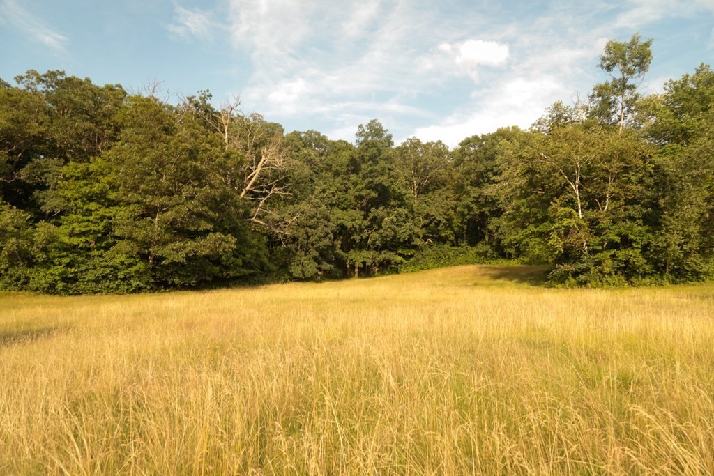 126 Washington Road Brimfield, MA 01010 - Photo 7 of 24