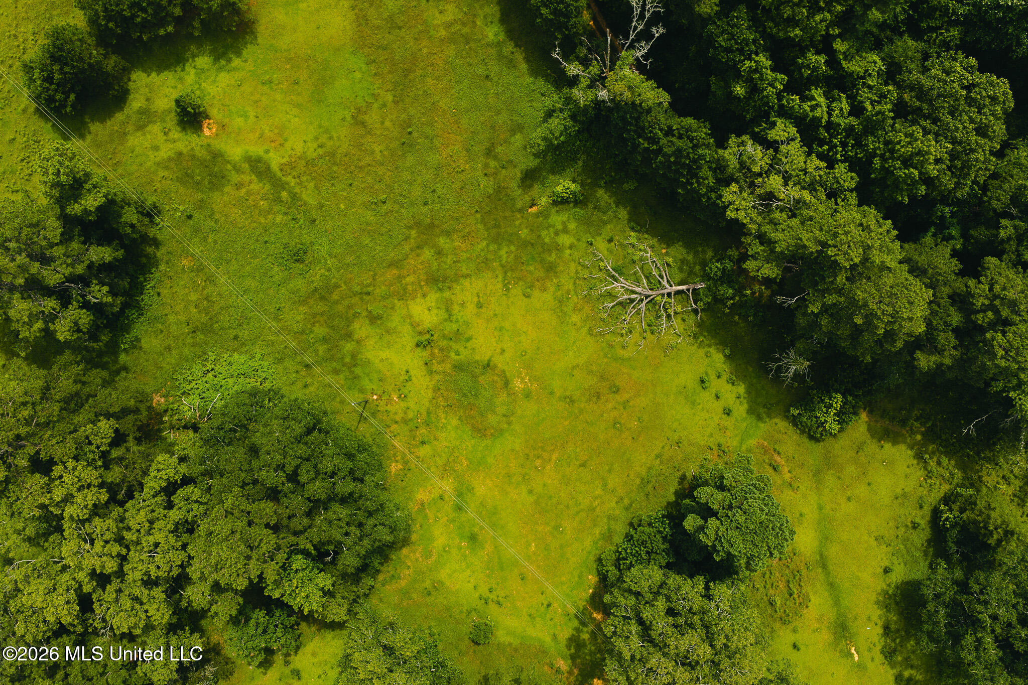 2139 Warren Hood Road Hermanville, MS 39086 - Photo 84 of 115 Aerial