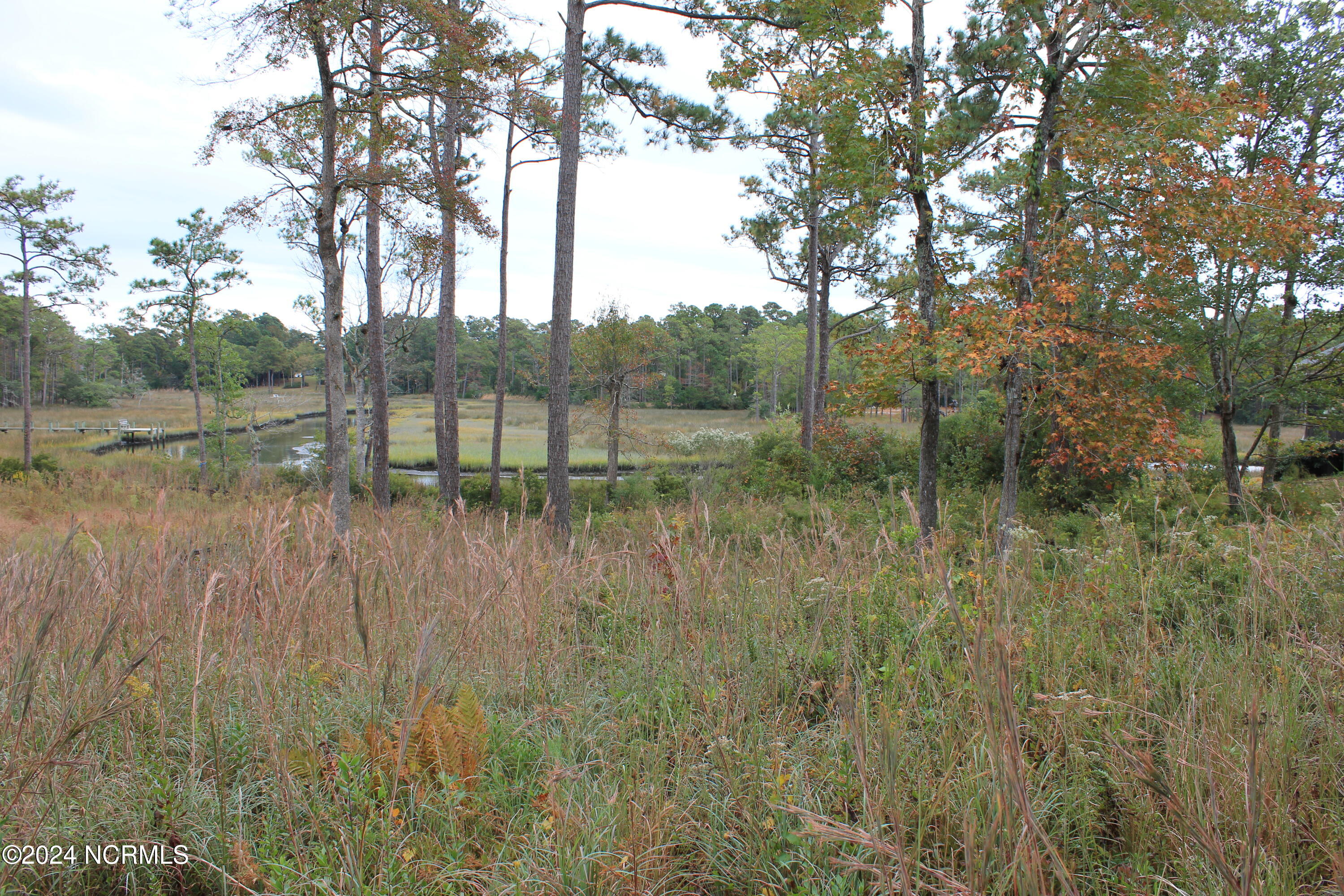 407 Salt Creek Road Swansboro, NC 28584 - Photo 19 of 26 IMG_7567