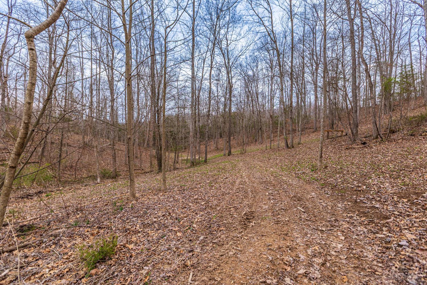 1025 Davis Road Peebles, OH 45660 - Photo 48 of 63