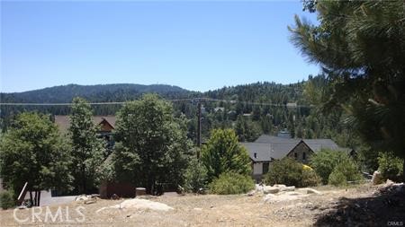 a view of a lot of trees and a mountain in the background