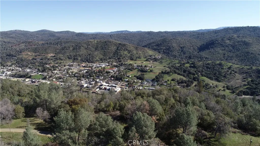 a view of a forest with a mountain in the background