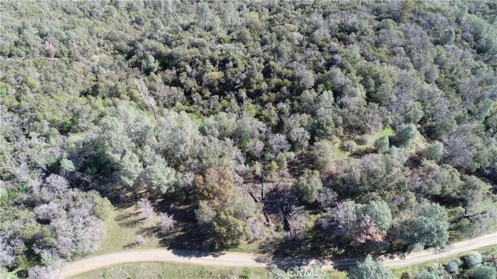 5 Martin Road Edwards, CA 93523 - Photo 6 of 8 a view of a forest with a houses