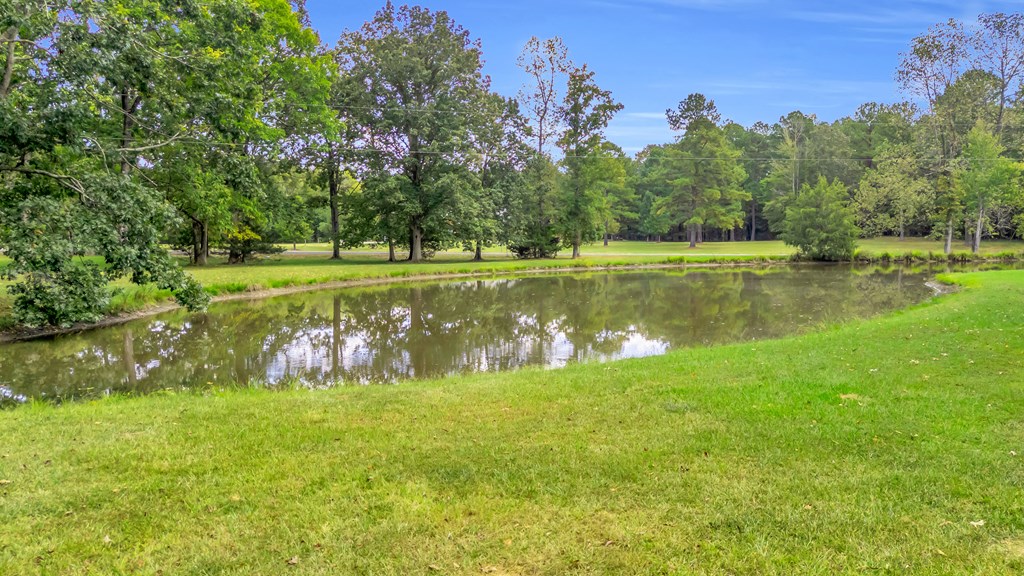 350 Flatwood Farm Road Abbeville, SC 29620 - Photo 6 of 52