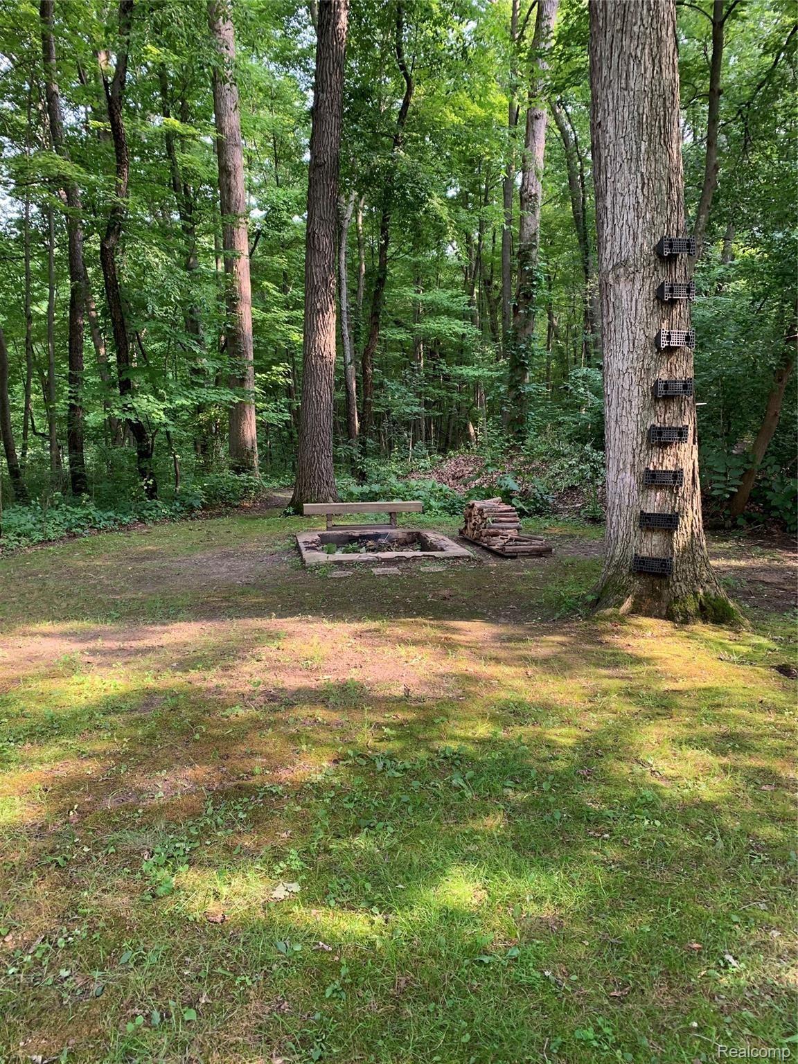 1711 Clark Lake Road Brighton, MI 48114 - Photo 12 of 28 IMG-3952.jpg