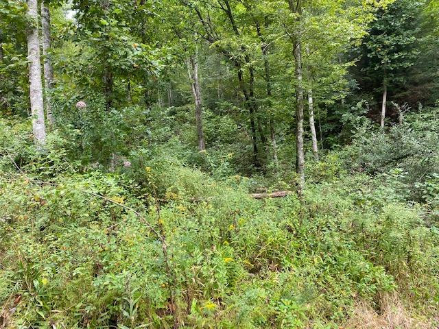 0 Hiram Branch Road Campton, KY 41301 - Photo 13 of 29 Photo 13