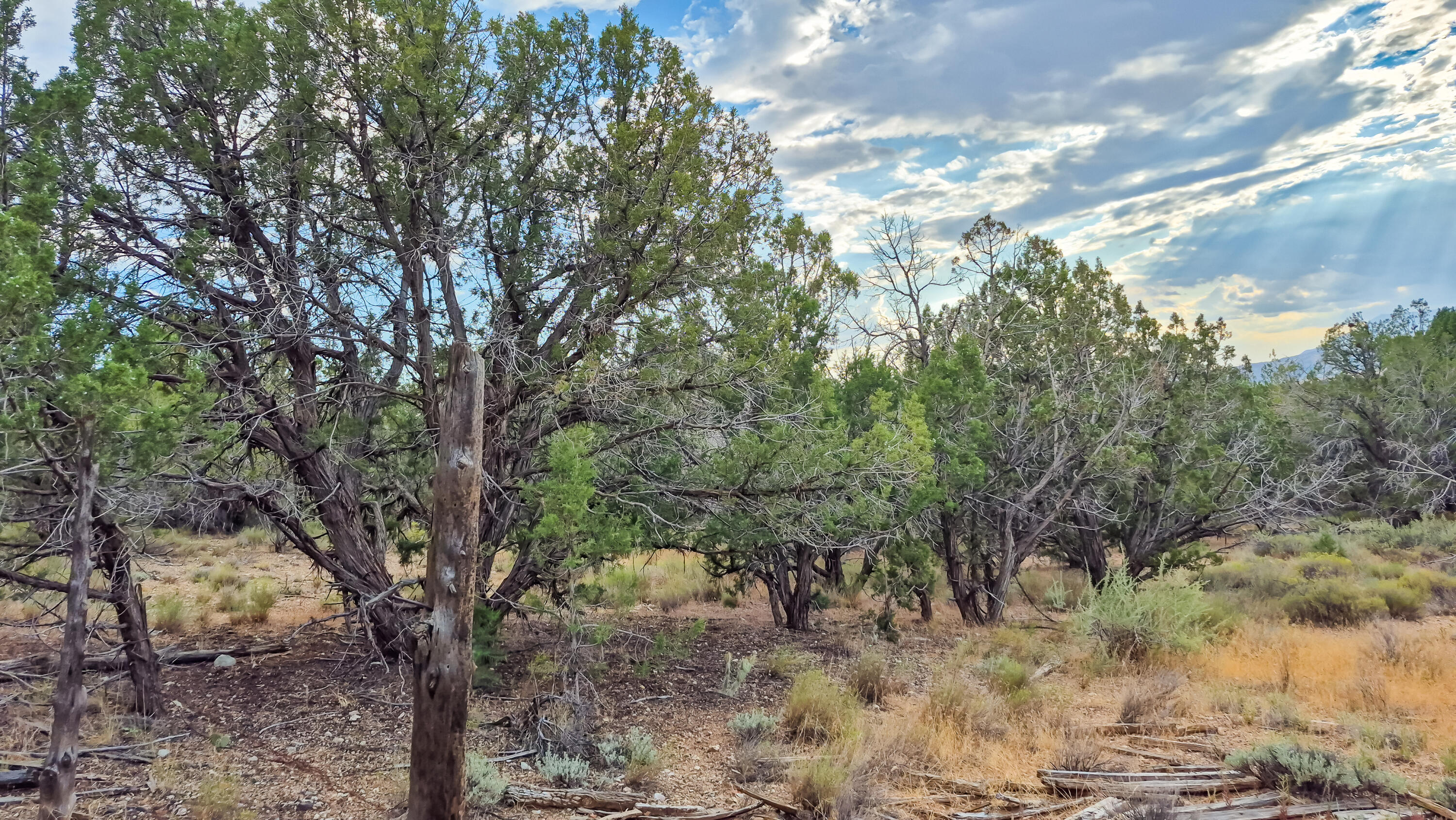 East Veyo Resort Road, Unit 7158B1NW Veyo, UT 84782 - Photo 6 of 18 20260722_185938