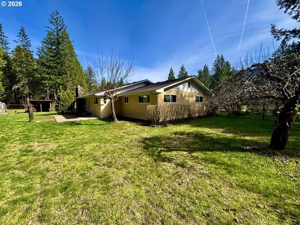 a view of a backyard with large trees