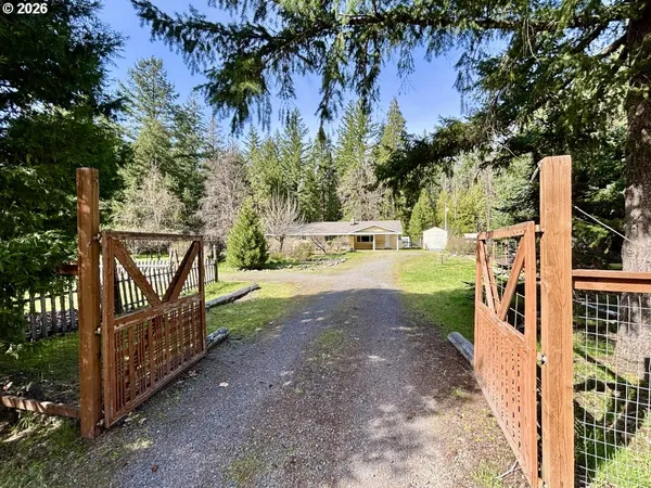 a view of a yard with flower plants and wooden fence