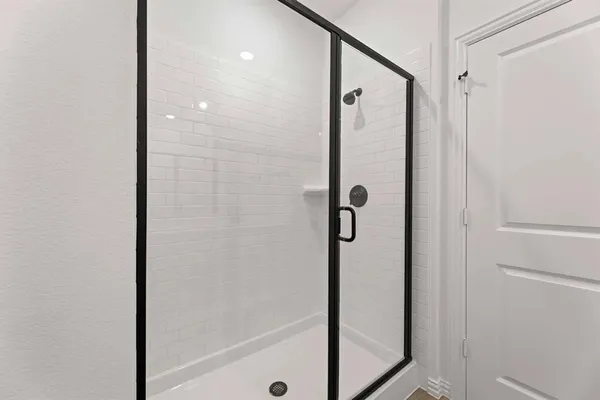 a bathroom with a shower and a glass door