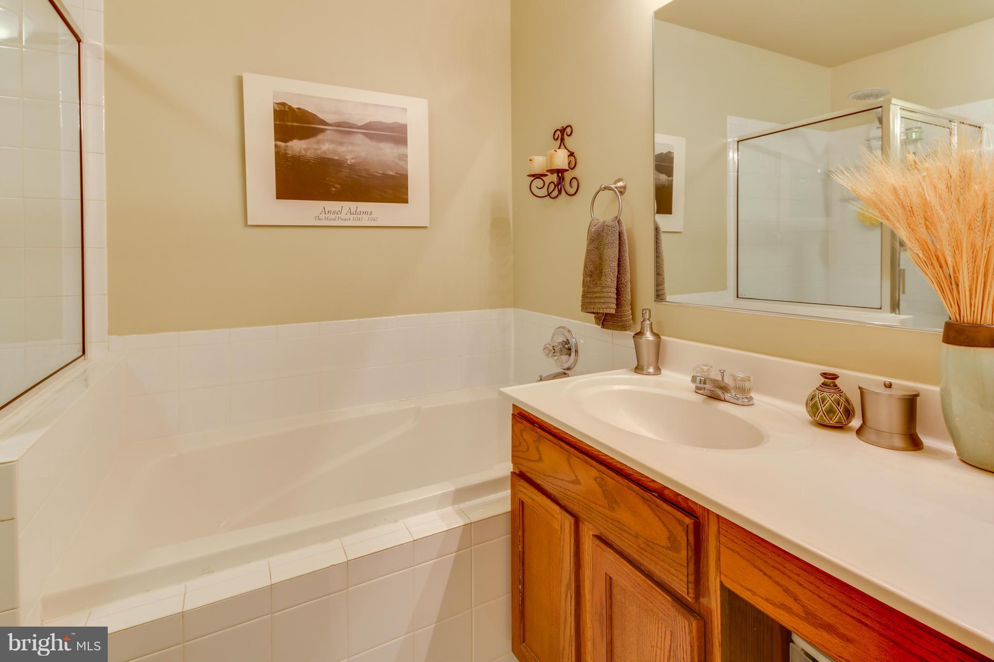 6383 Wind Rider Way Columbia, MD 21045 - Photo 20 of 30 Bath (Master)