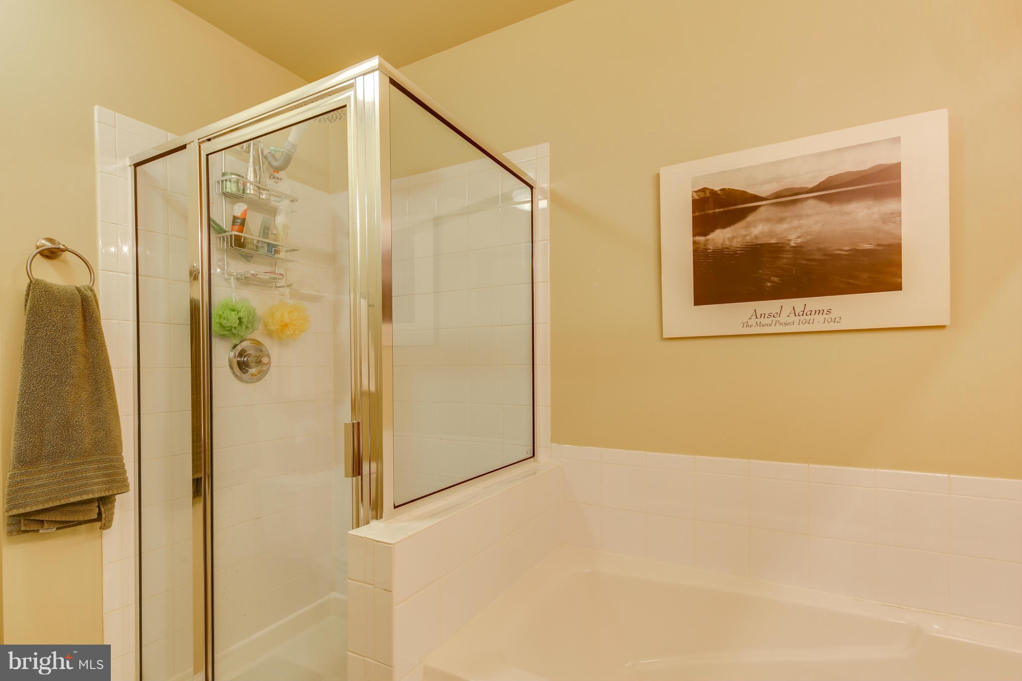 6383 Wind Rider Way Columbia, MD 21045 - Photo 21 of 30 Bath (Master)