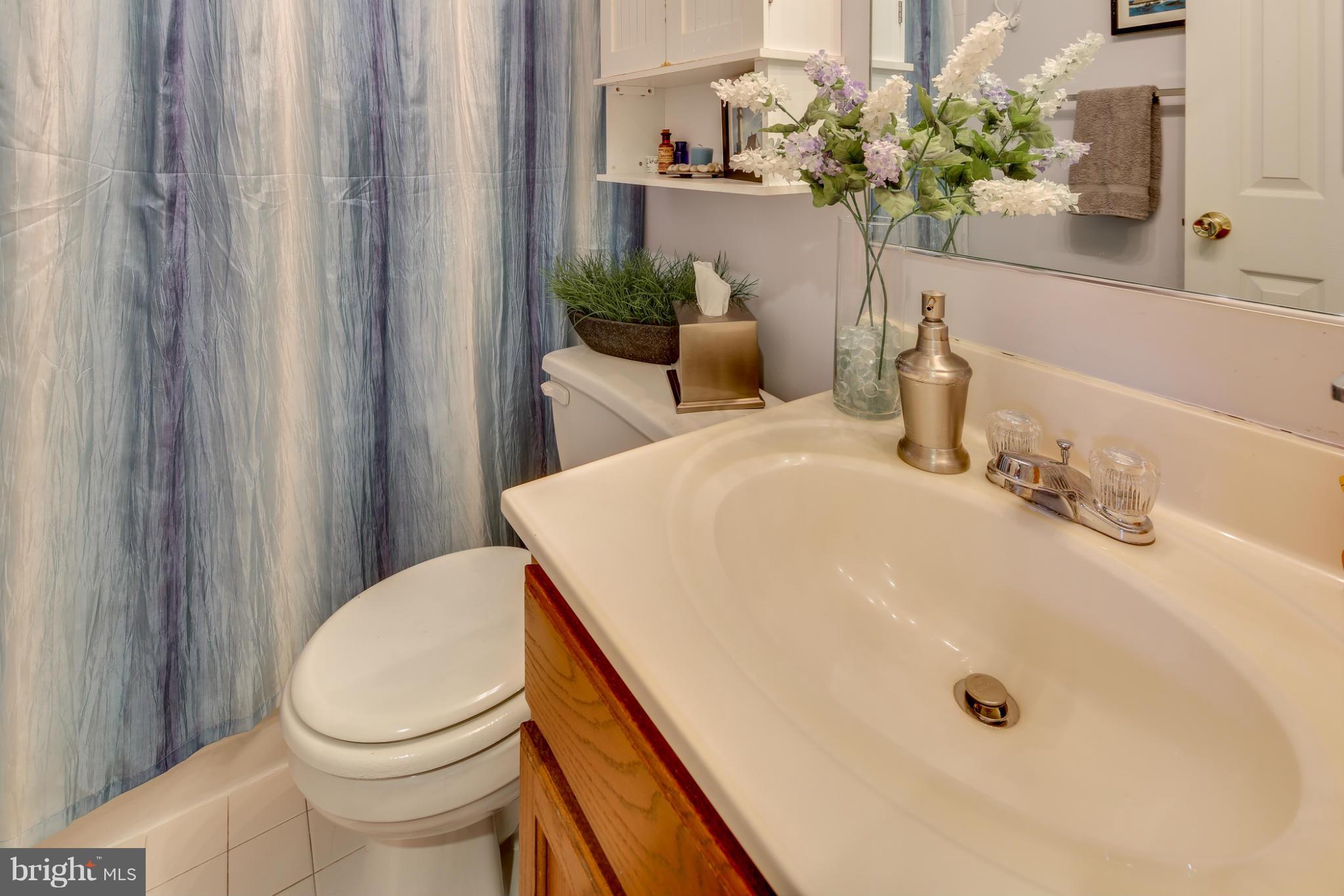 6383 Wind Rider Way Columbia, MD 21045 - Photo 24 of 30 Bath