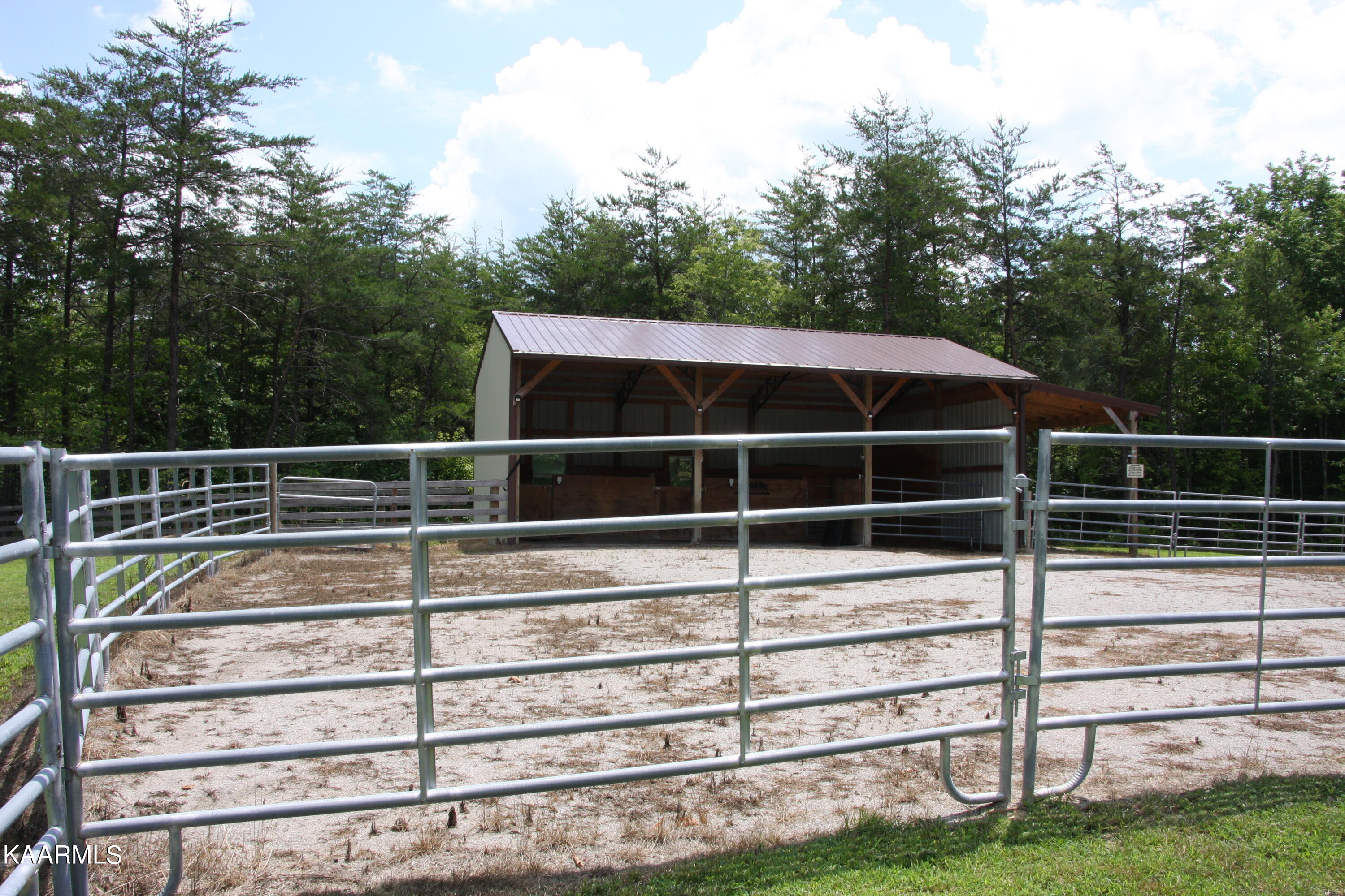 735 Bluebird Ridge Road Jamestown, TN 38556 - Photo 38 of 39 IMG_3986