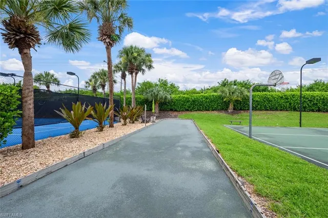 a view of a park with palm trees
