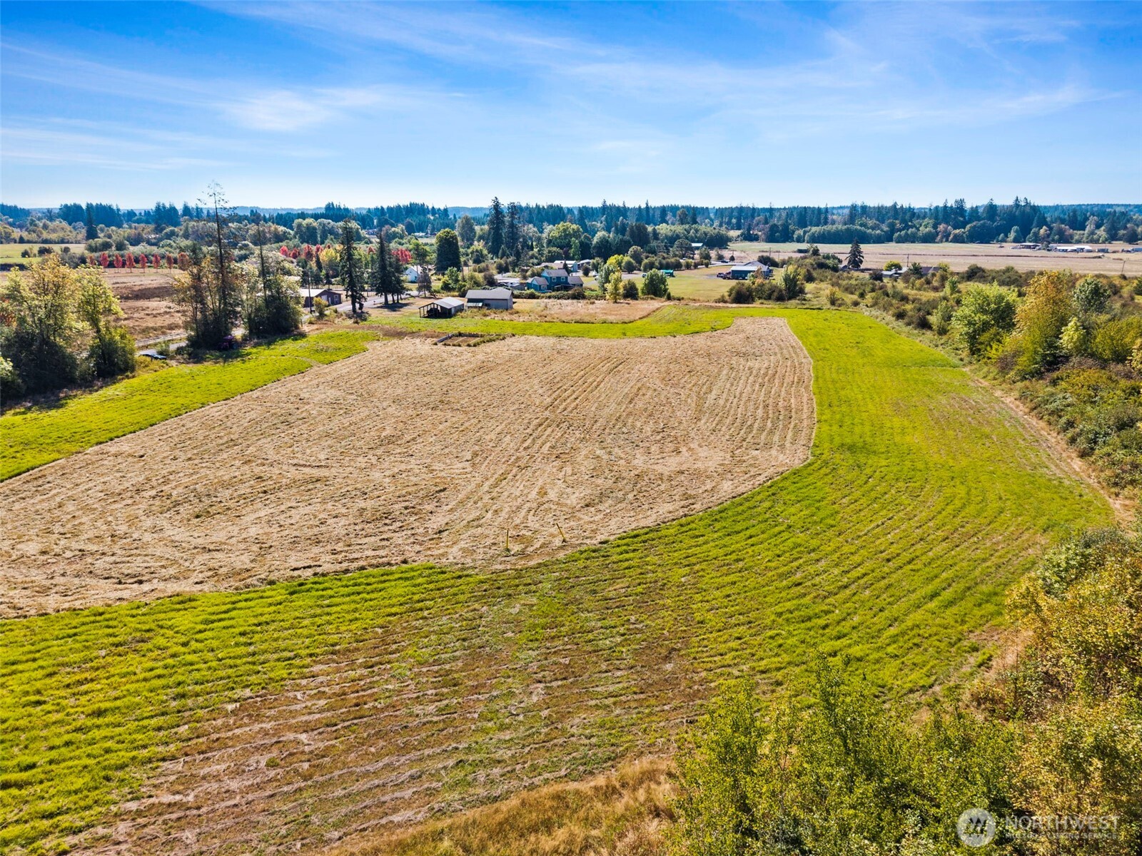 165 Taylor Road South Chehalis, WA 98532 - Photo 11 of 24 Gallery Image 11