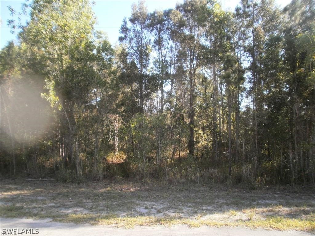 337 Jourferie Road Lehigh Acres, FL 33974 - Photo 3 of 5 a view of a yard