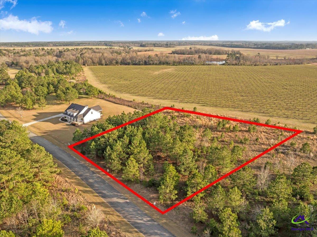 0 Woodland Trail Road Cochran, GA 31014 - Photo 4 of 20