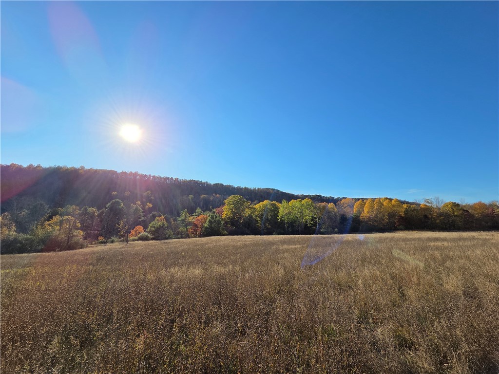 147 Clark Hollow Road Southport, NY 14871 - Photo 11 of 50