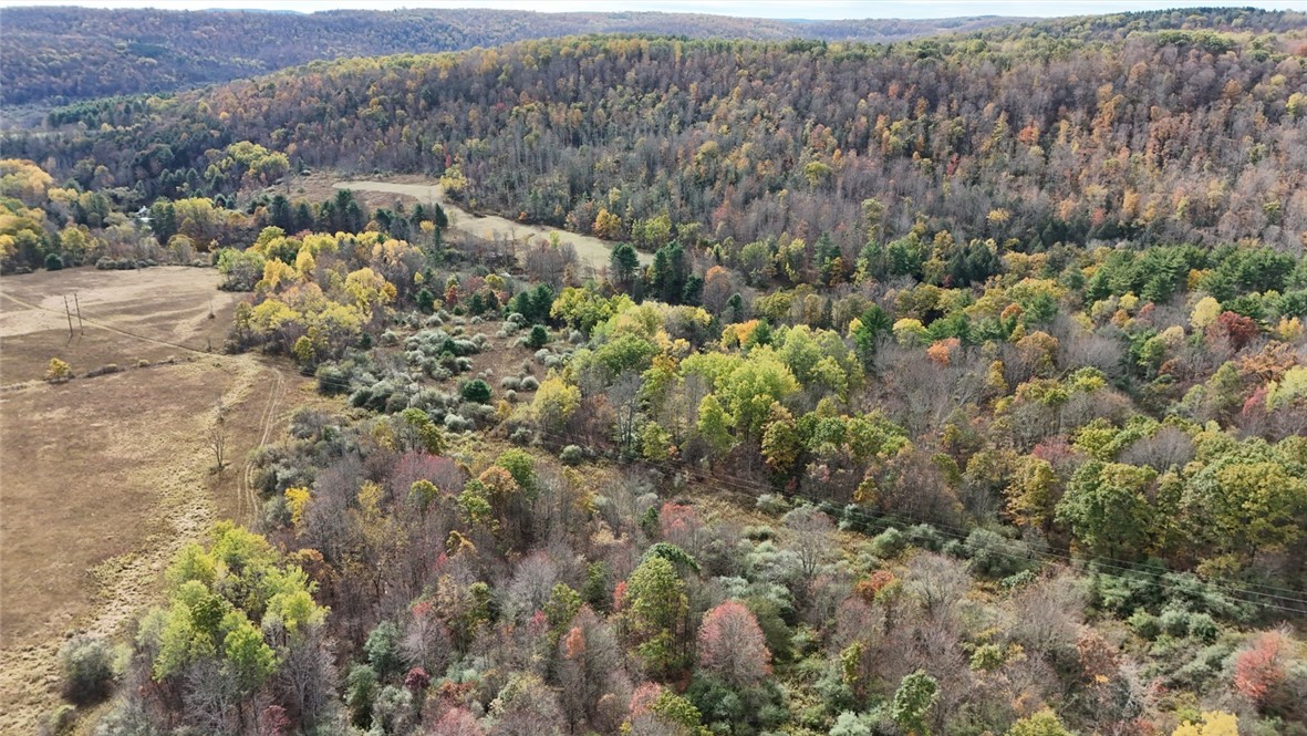 147 Clark Hollow Road Southport, NY 14871 - Photo 12 of 50