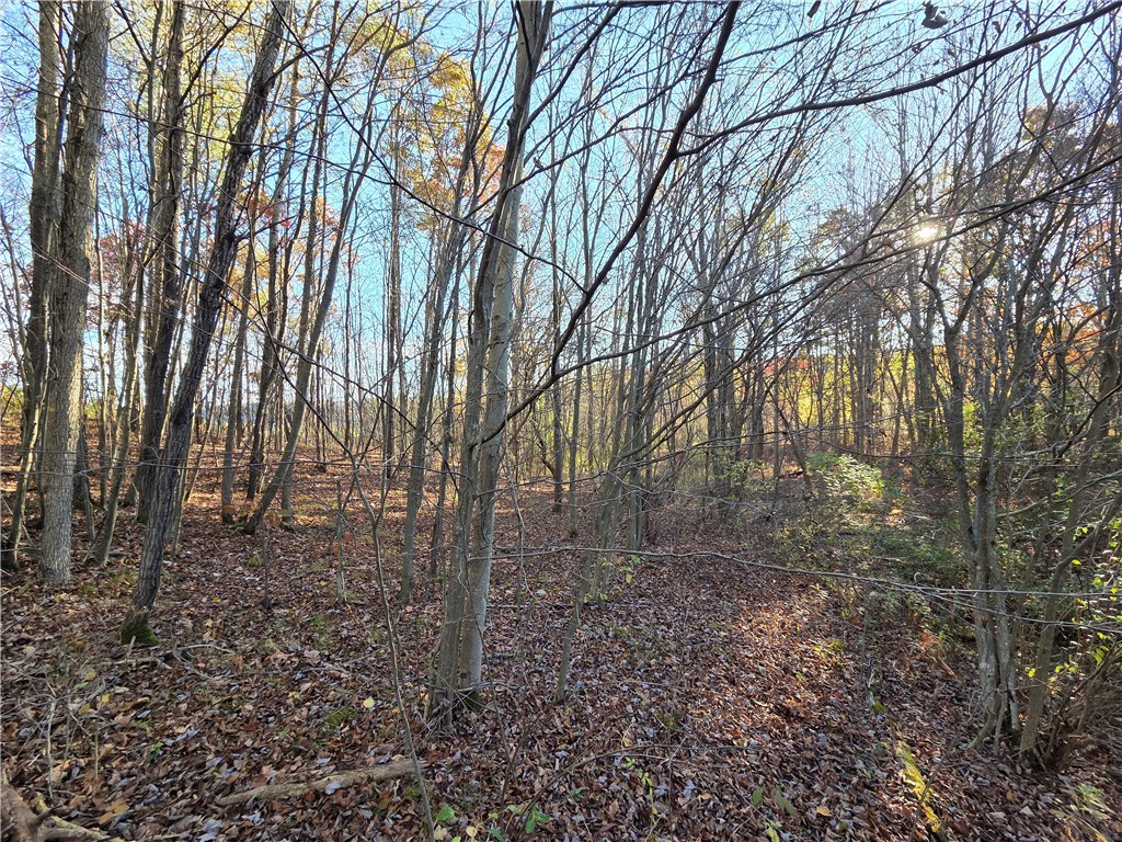 147 Clark Hollow Road Southport, NY 14871 - Photo 17 of 50