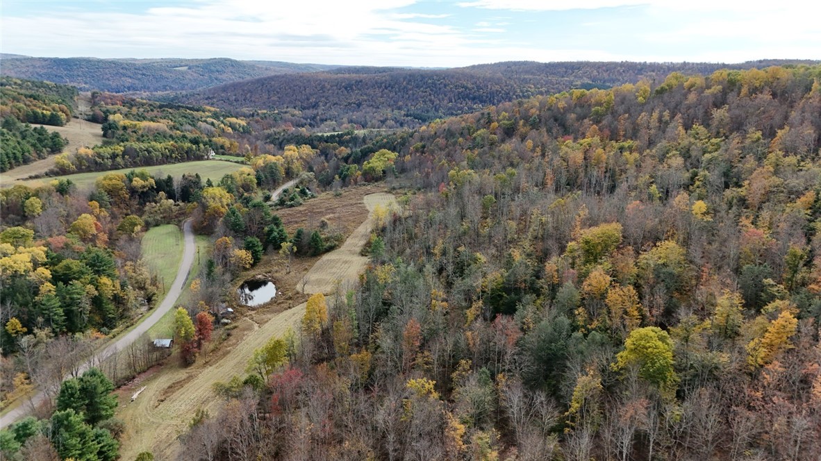 147 Clark Hollow Road Southport, NY 14871 - Photo 21 of 50