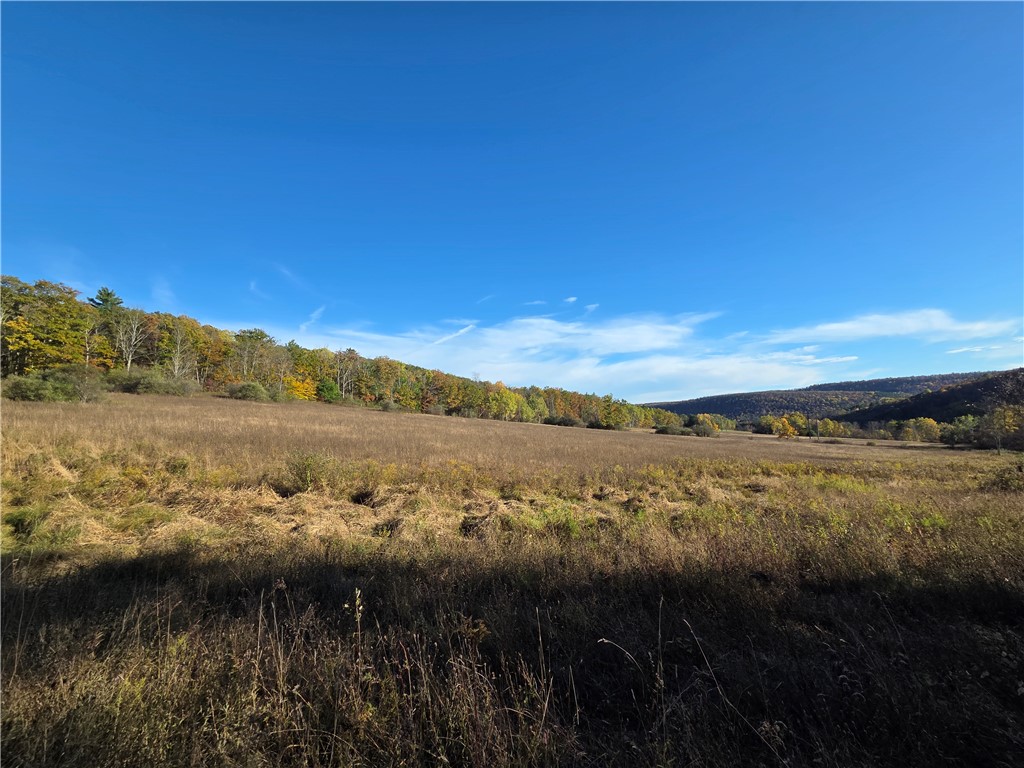 147 Clark Hollow Road Southport, NY 14871 - Photo 25 of 50