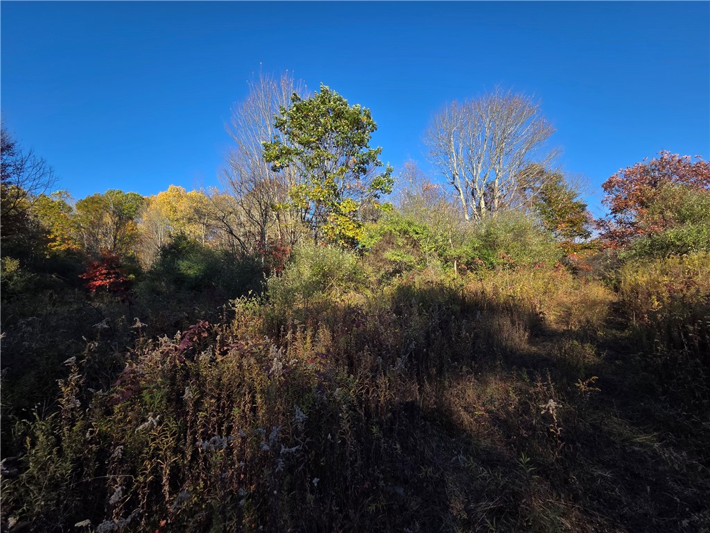 147 Clark Hollow Road Southport, NY 14871 - Photo 26 of 50