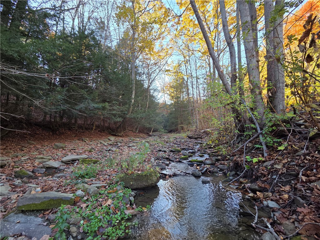 147 Clark Hollow Road Southport, NY 14871 - Photo 28 of 50
