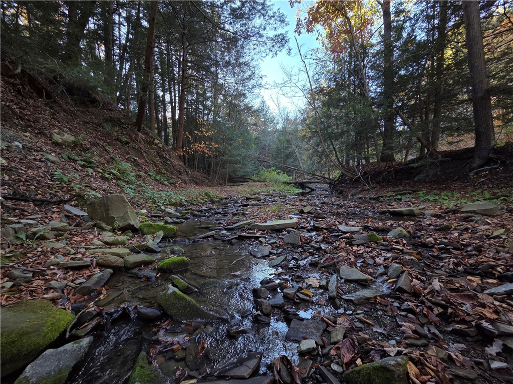 147 Clark Hollow Road Southport, NY 14871 - Photo 29 of 50