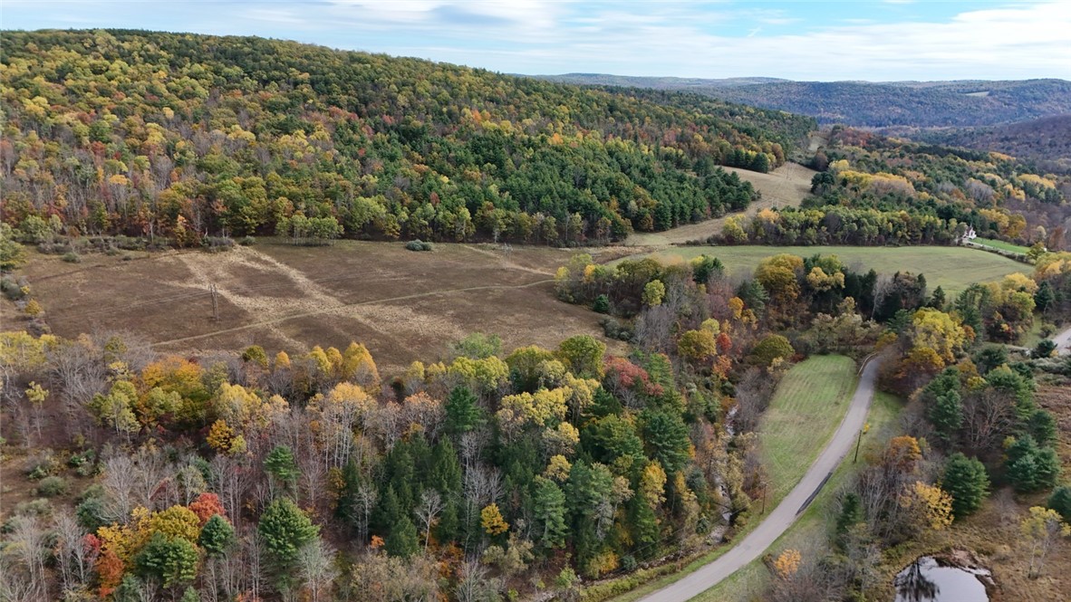 147 Clark Hollow Road Southport, NY 14871 - Photo 32 of 50