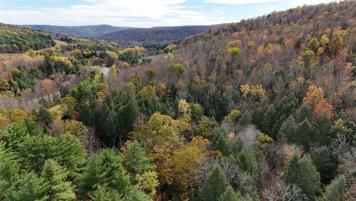 147 Clark Hollow Road Southport, NY 14871 - Photo 33 of 50