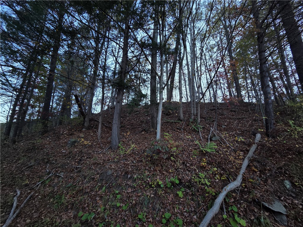 147 Clark Hollow Road Southport, NY 14871 - Photo 39 of 50